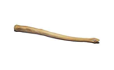 Cattle Tail - Medium (6 pcs Unlabelled) Cattle Tail - Medium (6 pcs Unlabelled)