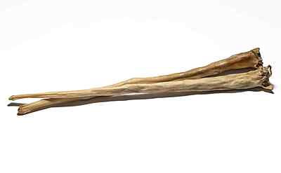 Cattle Tail - X-Large (10 pcs Unlabelled)