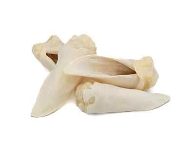 Lamb Ears (Natural) Lamb Ears (Natural)