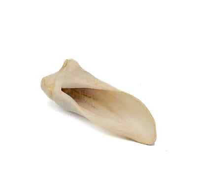 Lamb Ears (Natural) Lamb Ears (Natural)