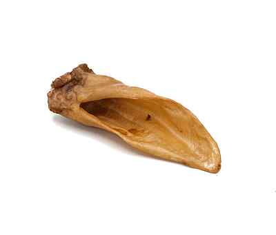 Lamb Ears (Smoked)