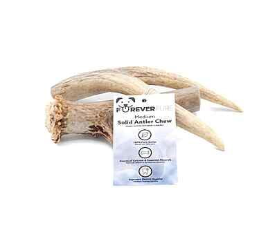 Solid Deer Antler - Medium Solid Deer Antler - Medium