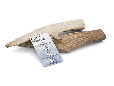 Solid Elk Antler - Large Solid Elk Antler - Large