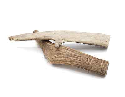 Solid Elk Antler - Large