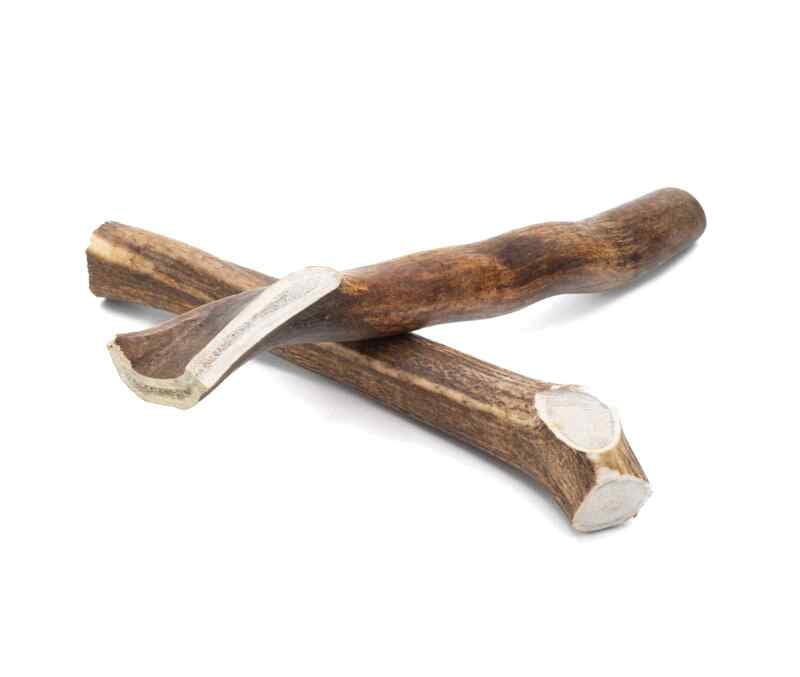 Solid Elk Antler - X-Large Solid Elk Antler - X-Large