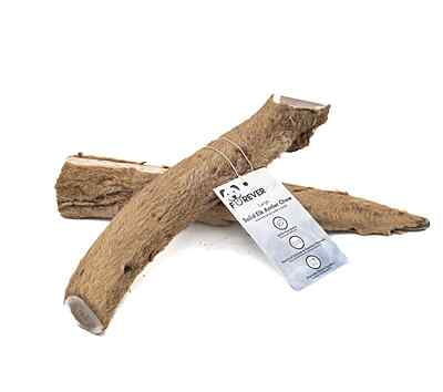 Solid Elk Antler - Large - Velvet Solid Elk Antler - Large - Velvet