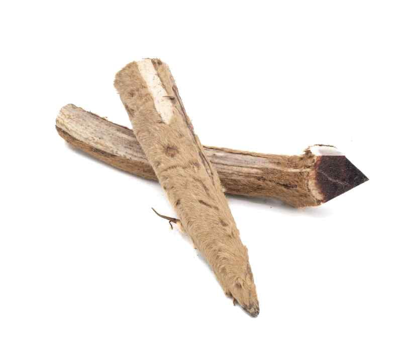 Solid Elk Antler - Large - Velvet Solid Elk Antler - Large - Velvet
