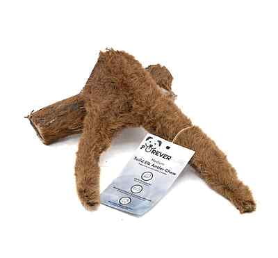Solid Elk Antler - Medium - Velvet Solid Elk Antler - Medium - Velvet