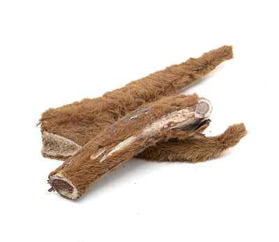 Solid Elk Antler - Medium - Velvet