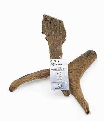 Solid Elk Antler - X-Large - Velvet Solid Elk Antler - X-Large - Velvet