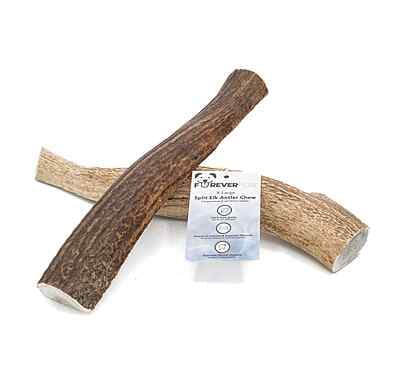 Split Elk Antler - X-Large Split Elk Antler - X-Large