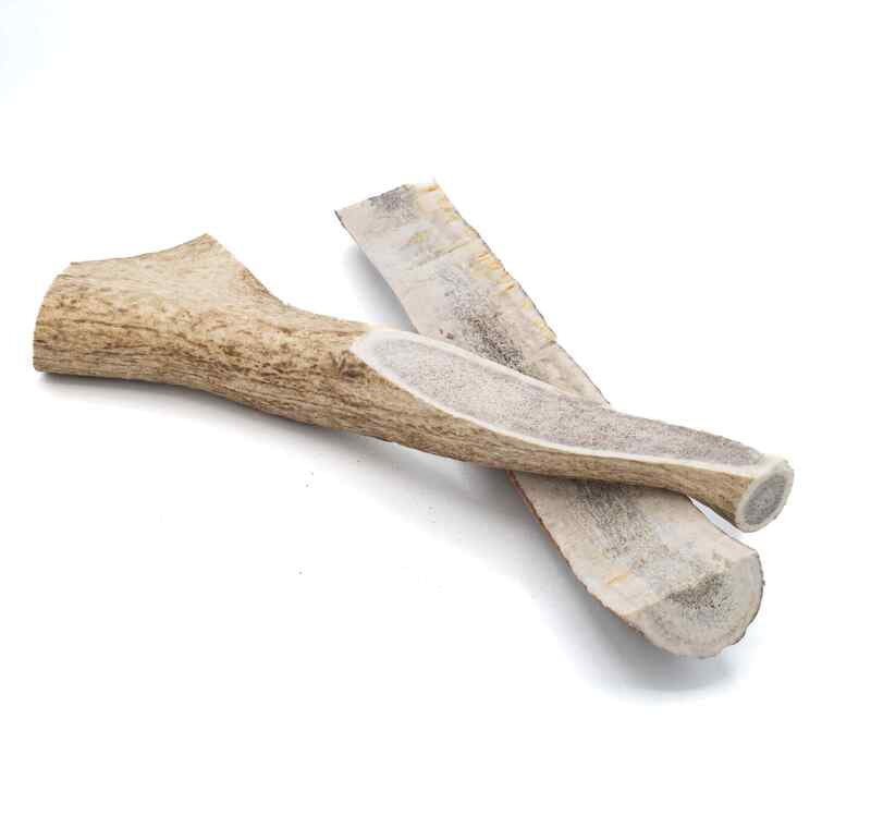 Split Elk Antler - X-Large Split Elk Antler - X-Large