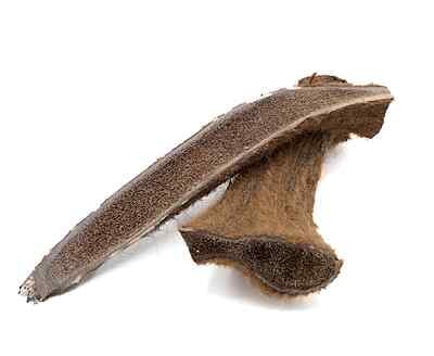 Split Elk Antler - X-Large - Velvet